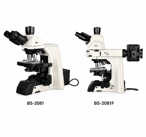 Gamme BS-2081 - Microscopes de Recherche Biologique